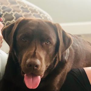 Meet your Posher, Jeannine